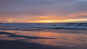 Beach at Asilomar Conference Grounds