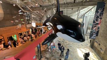 Monterey Bay Aquarium