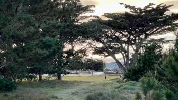 Asilomar grounds - view of path to ocean
