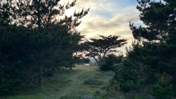 Asilomar view sunset