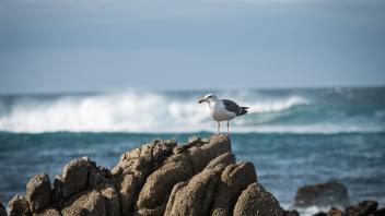 Waves breaking on rocks