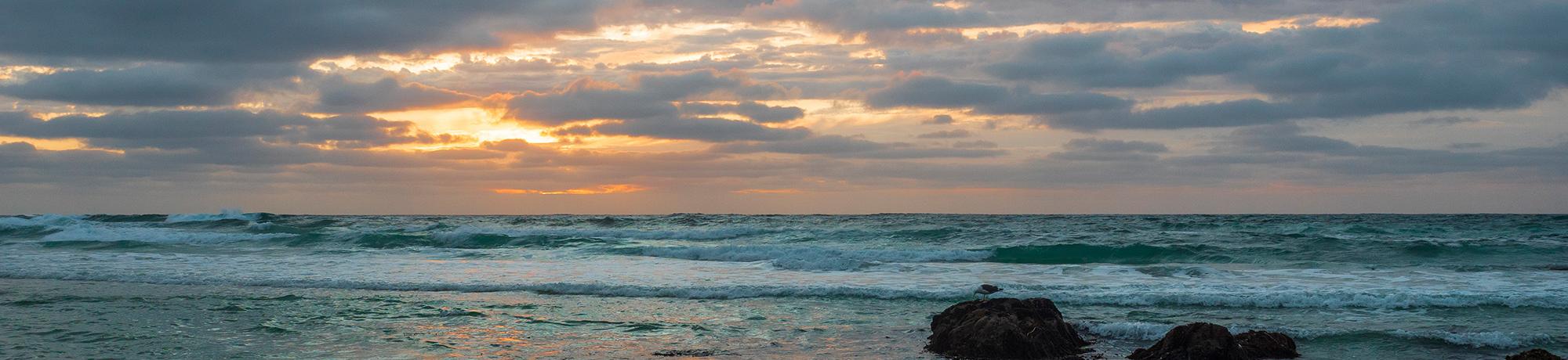 Ocean scene hero banner